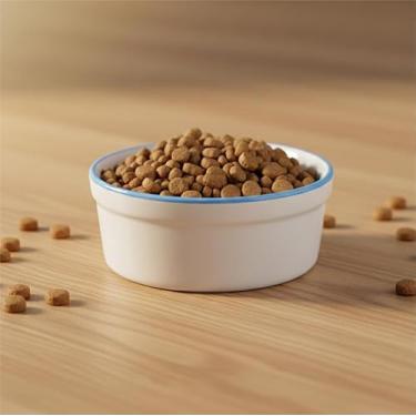 Imagem de Comedouro Bebedouro de Porcelana Pequeno 300ml Borda Azul