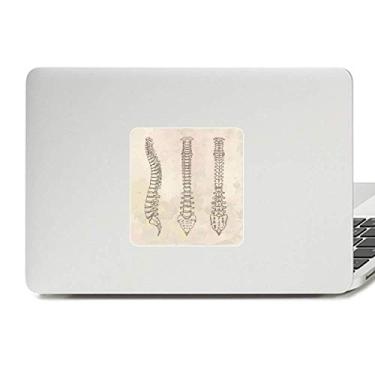 Imagem de Esqueleto Esboço Espinha Adesivo de Vinil Paster Laptop Decoração PC