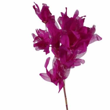 Imagem de Planta Seca Pimentinha no Espeta Pink - Pense Flores