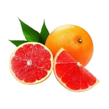 Imagem de Muda Frutífera de Laranja Sanguínea Mombuca Enxertada - AgroJardim