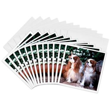 Imagem de 3dRose Dois cartões Blenheim Cavalier King Spaniel - Cartões comemorativos, 15 x 15 cm, conjunto de 12 (gc_1172_2)