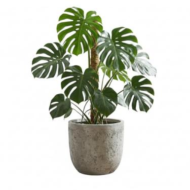 Imagem de Genérico, Jardineira Oval Industrial Chic, Uso Interno, Tamanho M, Branco, Metal Galvanizado, Vaso de Plantas, Oval, Chão, Plantador, 11x12x7 cm