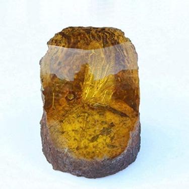 Imagem de Coleção De Amostras De Resina De Inseto Real Natural Âmbar, Taxidermia De Peso De Papel De Inseto Real Para Crianças, Brinquedo Educacional, Brinquedos Cognitivos, Educação Biológica,Libélula,8 * 10