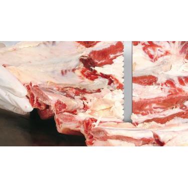 Imagem de Lamina Serra Fita P/ Carne E Osso 1,74M Starrett, 2 unidades