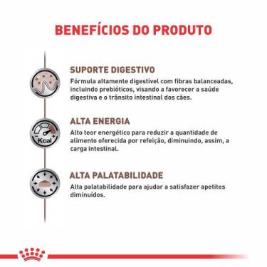 Imagem de Ração Seca Veterinary Diet Gastrointestinal para Cães Adultos com Sens