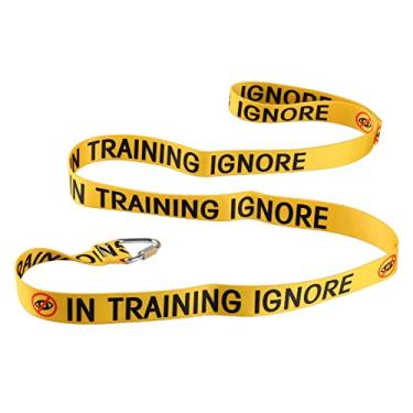 Imagem de Coleira engraçada para cães Have in Training Ignore Dog Leash Walking Training Dog Leashes Owner Pet Lover Gift (in Training Ignore-YE)
