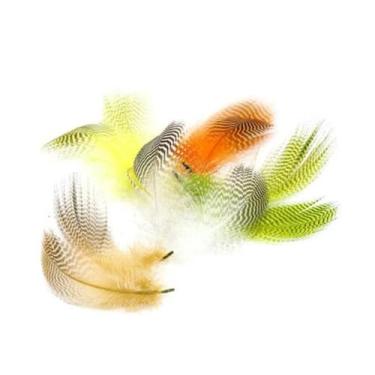 Imagem de YJIUYUANQ Materiais de amarração de moscas naturais de pato-real barrado, penas de flanco de pato de ganso selvagem, materiais de amarração de mosca, 5 cores, pacote com 50, conforme mostra