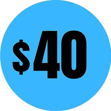 Imagem de Mobiusea Creation 300 adesivos de preço de $40 | Etiquetas de preço de 40 dólares | 2,5 cm de diâmetro | Etiquetas de preço pré-impressas | Adesivos de venda de garagem