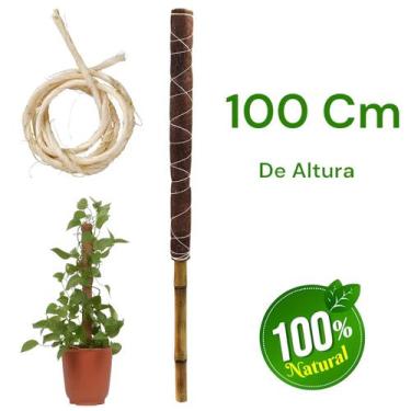 Imagem de Tutor Grande 100 Cm Para Planta Trepadeira Costela de Adão Jiboia Fibr