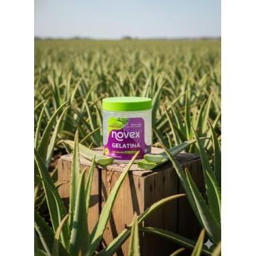 Imagem de Gelatina Novex Super Babosão 1kg - Definição e Hidratação