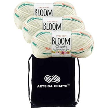 Imagem de Premier Yarns Fio de tricô Bloom Grosso Fio Gerbera 1114-21 (3-Skeins) Mesmo lote de tinta volumoso #5 macio 100% acrílico pacote com 1 bolsa de artesanato Artsiga