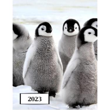 Imagem de 2023: Agenda semainier au format A4 - Année civile (Janvier à Décembre 2023) - Intervalles d'1h (7h-22h) - Contacts, jours fériés, mots de passe, ... - Une semaine sur deux pages