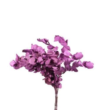 Imagem de Eucalipto Lilás Desidratado p/ Decoração - Tem Flores