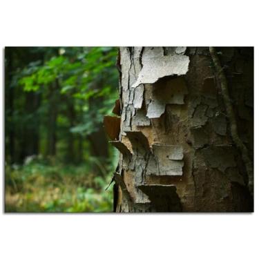 Imagem de 1126 Pôster de árvore com casca de tronco, impressão em tela, arte de parede de madeira para casa 1 painéis decorações não ramificadas 46 x 30 cm