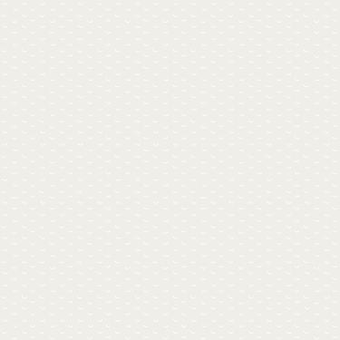 Imagem de Papel de Parede Fofura Baby Desenhos de Passarinhos Cinza FF4018