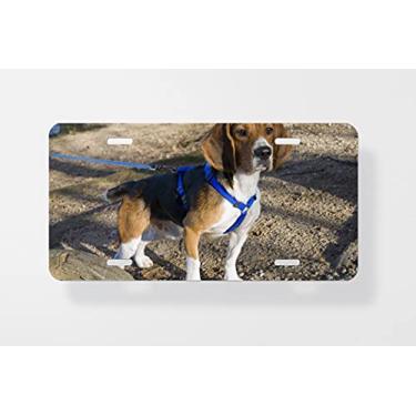 Imagem de Alert Beagle Capa para placa de carro – Capa para placa de carro – Capa para placa de carro 15,24 x 30,48 cm