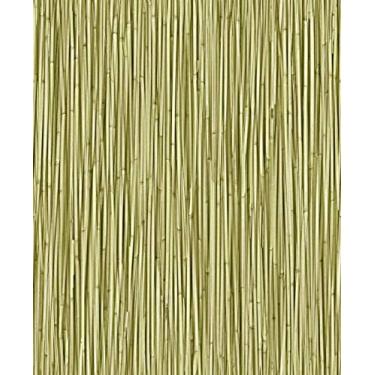 Imagem de Papel De Parede Com Revestimento Shark Brasil