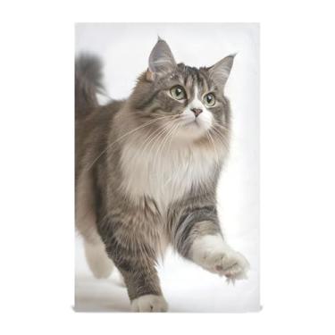 Imagem de Conjunto de toalhas de prato com estampa de animais, decoração de cozinha, gato, fofo, animal fofo, toalhas de mão, pano de limpeza, absorvente, secagem rápida, 45 x 71 cm, pacote com 6