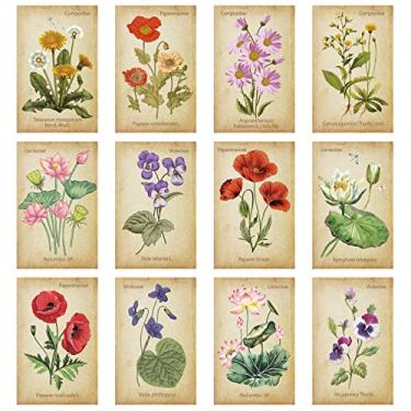 Imagem de 24 peças de marcadores botânicos, tabela de referência de flores, suprimentos de impressão botânica, ímã vintage, planta de flores silvestres para arte floral, mulheres, sala de aula, recompensa