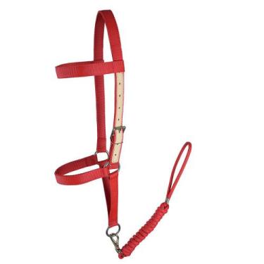 Imagem de Cabresto de Seda para Cavalo SV5441 - Vermelho - Selaria Vertentes