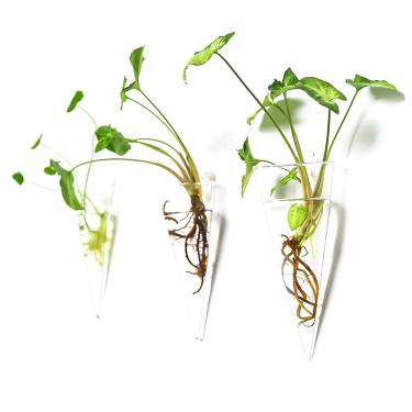 Imagem de Kingbuy 2 unidades de suporte de plantas de parede para pendurar em vidro Terrariums Planter Cone Air Plants Holder Indoor Home Office Living Room Decor vaso Succulent Container