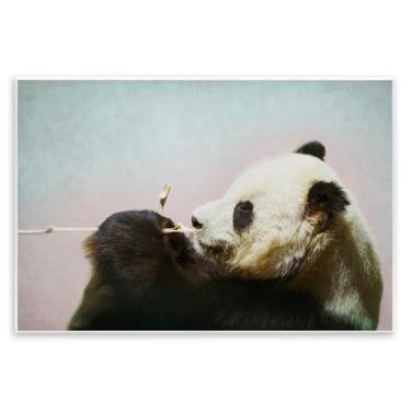 Imagem de Stupell Industries Design artístico de placa de parede de bambu e panda selvagem por Roberta Murray, 25 x 38 cm