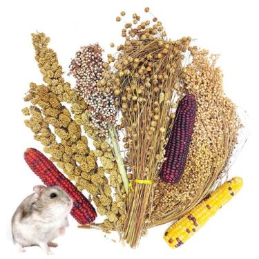 Imagem de Conjunto de roupa de cama comestível seco ao ar para hamster Fhiny Nat