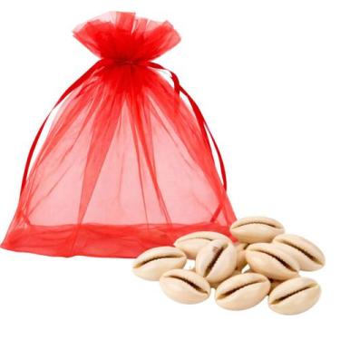 Imagem de Jogo de Búzios 16 Peças Com Manual Básico - Lua Mística Original