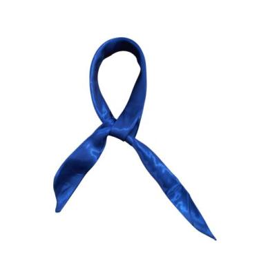 Imagem de Lenço Pampa Sul De Seda Liso Para Dança Gauderia