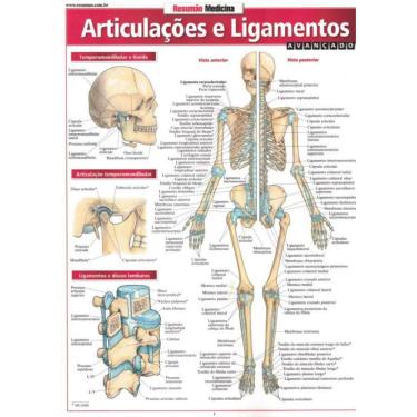 Imagem de Resumao Medicina - Articulacao E Ligamentos - Avancado