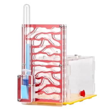 Imagem de Fenteer Caixa de reprodução para de formigas, fácil de montar, caixa de exibição transparente, fazenda de formigas para observação científica, Vermelho