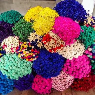 Imagem de Sempre Viva Botão Bolinha - 500 Flores - Decoração - VIVA FLOR, VERDE