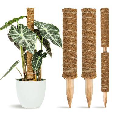 Imagem de 2 peças de mastro de musgo, 30,5 cm, estacas empilháveis de suporte para plantas trepadeiras, estabilizador para vasos de plantas, pothos, filodendro