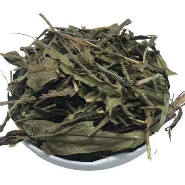 Imagem de Carqueja Doce 500gr (Erva Desidratada) - Magnata das Ervas