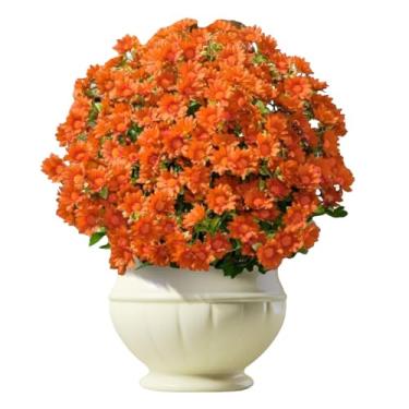 Imagem de Faux Mums, pacote com 10 flores artificiais de para mães do pôr do sol | Plantas realistas para decoração de para sala de estar, quarto, mesa, peitoril da janela, , entrada