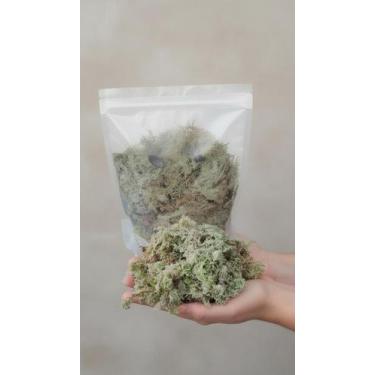 Imagem de Musgo Sphagnum 6 Litros Substrato Plantas - Congratulations Store