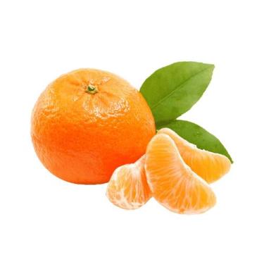 Imagem de Muda Frutífera de Tangerina Mexerica do Rio Enxertada - AgroJardim