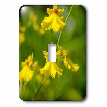 Imagem de 3dRose lsp_226137_1 Austrália, Darwin. Jennys Orchid Garden. Interruptor de botão único