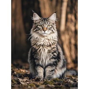 Imagem de TUTUMAY21 Maine Coon Cat Kitten Diamond Painting Kit DIY 5D Diamond Art Contas redondas completas por número Stitch Artes e artesanato feito à mão para sala de estar decoração de parede de casa 12 x