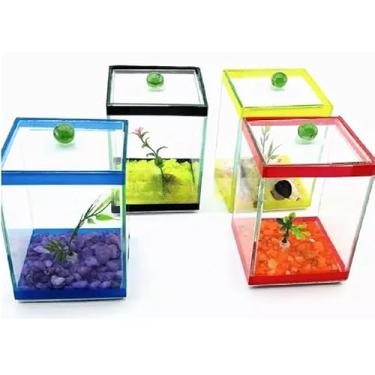 Imagem de 1 Aquário Beteira 10x10x15 Decorada C/Enfeites Peixes