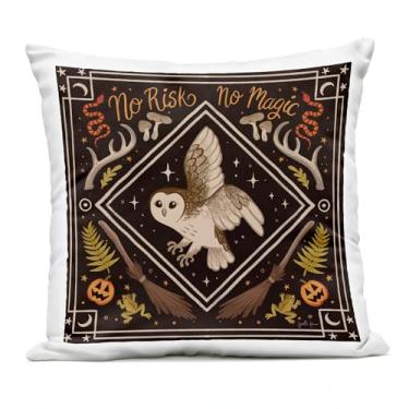 Imagem de Stupell Industries Almofada estampada para ambientes externos No Risks or Magic Owl, 45 x 18 x 45, preta