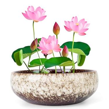Imagem de ARTKETTY Tigela de lótus - Tigela grande de flor de lótus de 20 cm para plantas aquáticas, tigela de bonsai de cerâmica para plantas hidropônicas, suculentas, ambientes internos e externos
