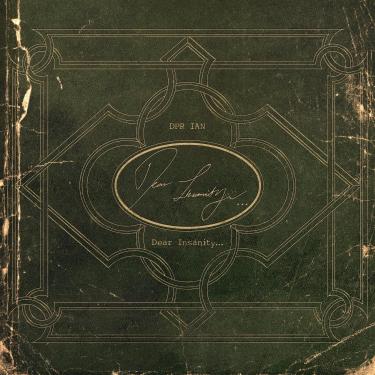 Imagem de DEAR INSANITY...