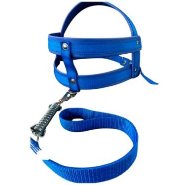 Imagem de Coleira Peitoral para Cachorro Personalizada com Nome e Telefone – Guia Anti Puxão Reforçada Roxa(PPP (4kg até 6kg),Azul)