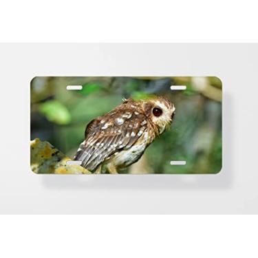 Imagem de Capa para placa de licença The Bare Legged Owl Or Cubana Screech Owl Gymnoglaux Lawrencii - Capa para placa de carro - Capa para moldura da placa de carro 15 x 30 cm