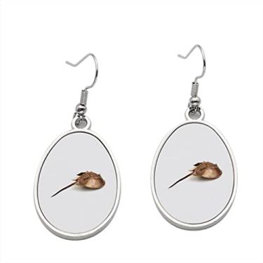 Imagem de Brinco de caranguejo em ferradura – Brincos com pingente para meninas – Presente de festa de aniversário dos namorados