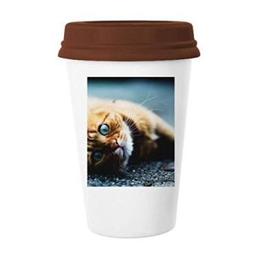Imagem de Caneca de foto de gato olho azul puro animal caneca copo de cerâmica copo copo tampa