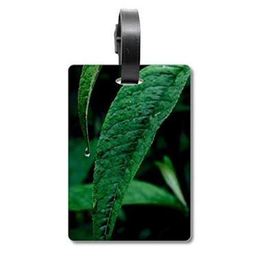 Imagem de Folha Plant Nature Fotografia Mala de Viagem Etiqueta Cartão de Bagagem Scutcheon Etiqueta