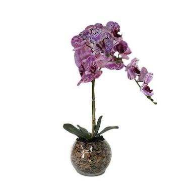 Imagem de Orquídea Rosa Pintada x2 Vaso Aquário - Biofil