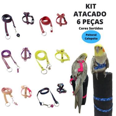 Imagem de Kit 6 Peitoral Coleira + Guia Para Aves Calopsita Atacado Revenda Loja